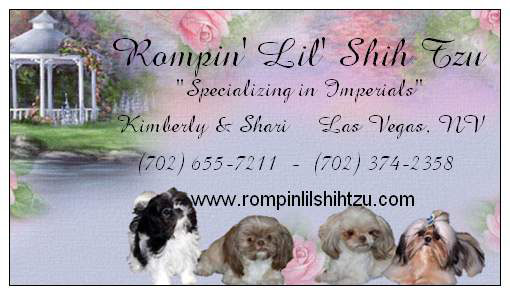 business card - imperial shih tzu